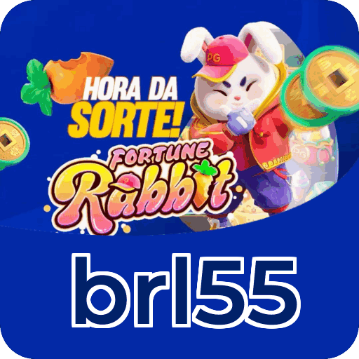 Equipe de suporte ao cliente da brl55